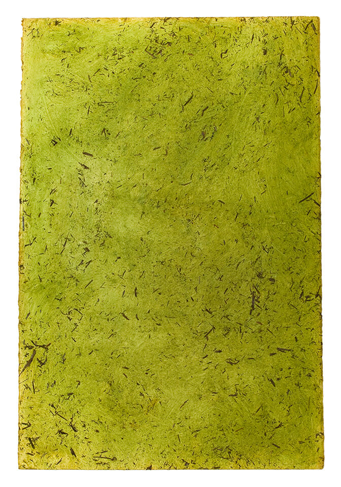 chontaduro papel 16.jpg